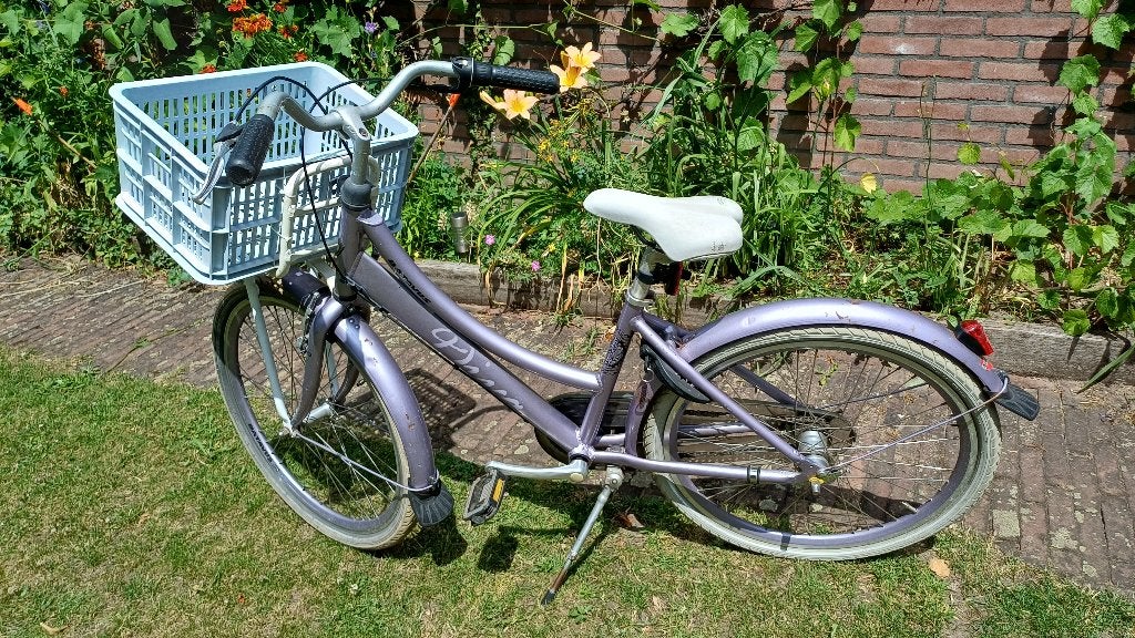 Leuke meidenfiets, Fietsen en Brommers, Fietsen | Meisjes, Ophalen, Velgrem, Versnellingen, Batavus®