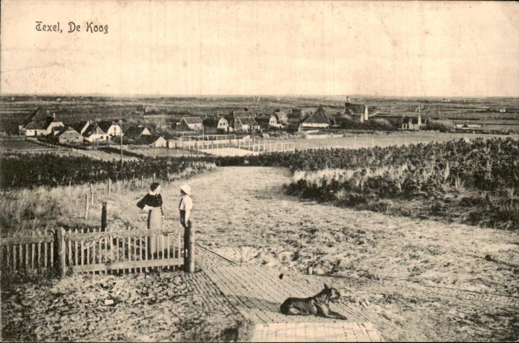 Texel, De Koog - Dorpsgezicht - Duinpad met hond, Ophalen of Verzenden, Voor 1920, Ongelopen, Noord-Holland