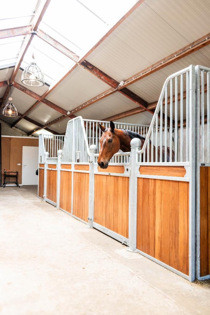 Paardenbox Voorwand Model C | Diverse Maten | Heass, Weidegang, 4 paarden of pony's of meer