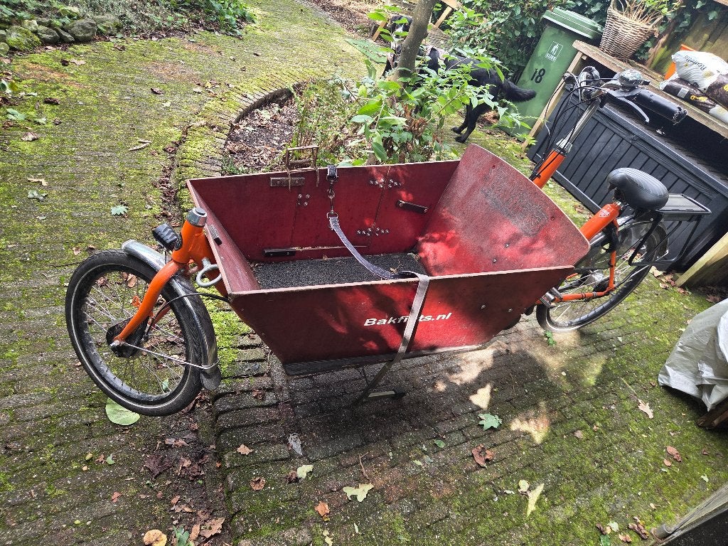 Elektrische bakfiets (bijgewerkt), Gebruikt, Goederen, Elektrisch, Ophalen