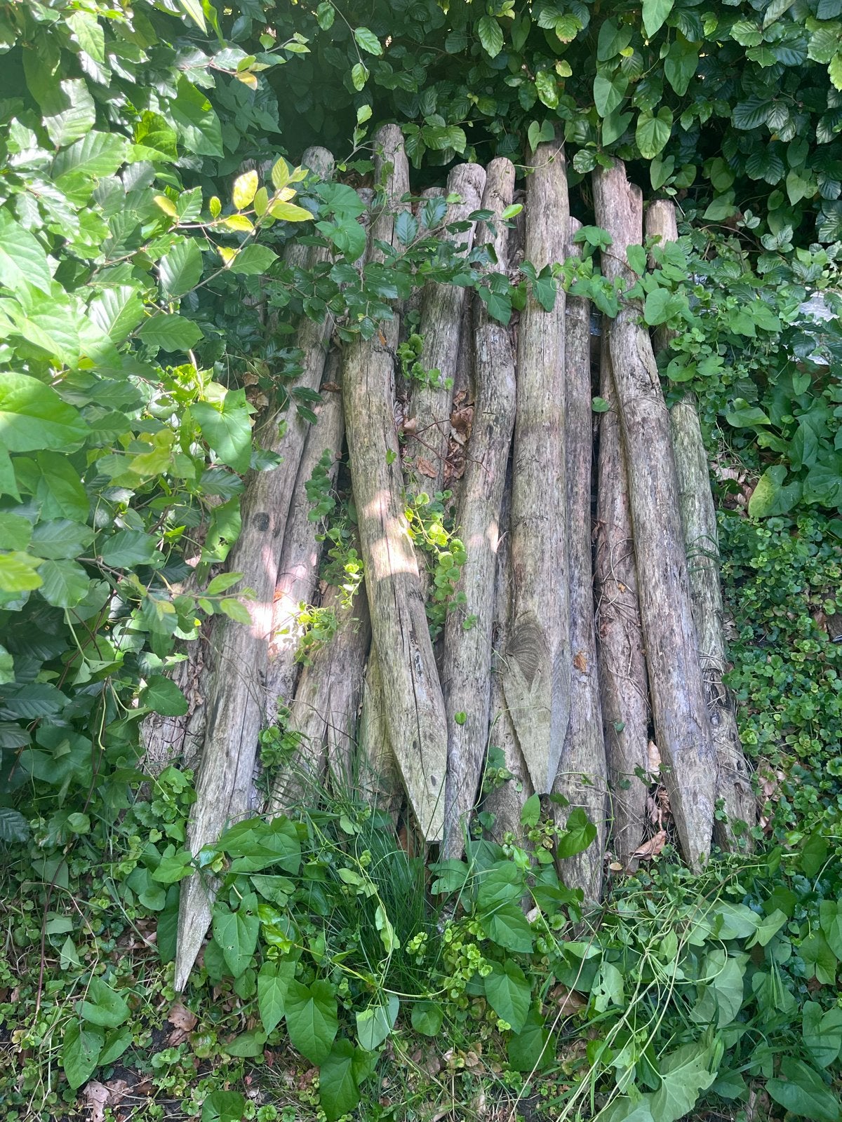 Ronde palen van kastanjehout, Ophalen, Gebruikt, 180 tot 250 cm, Palen