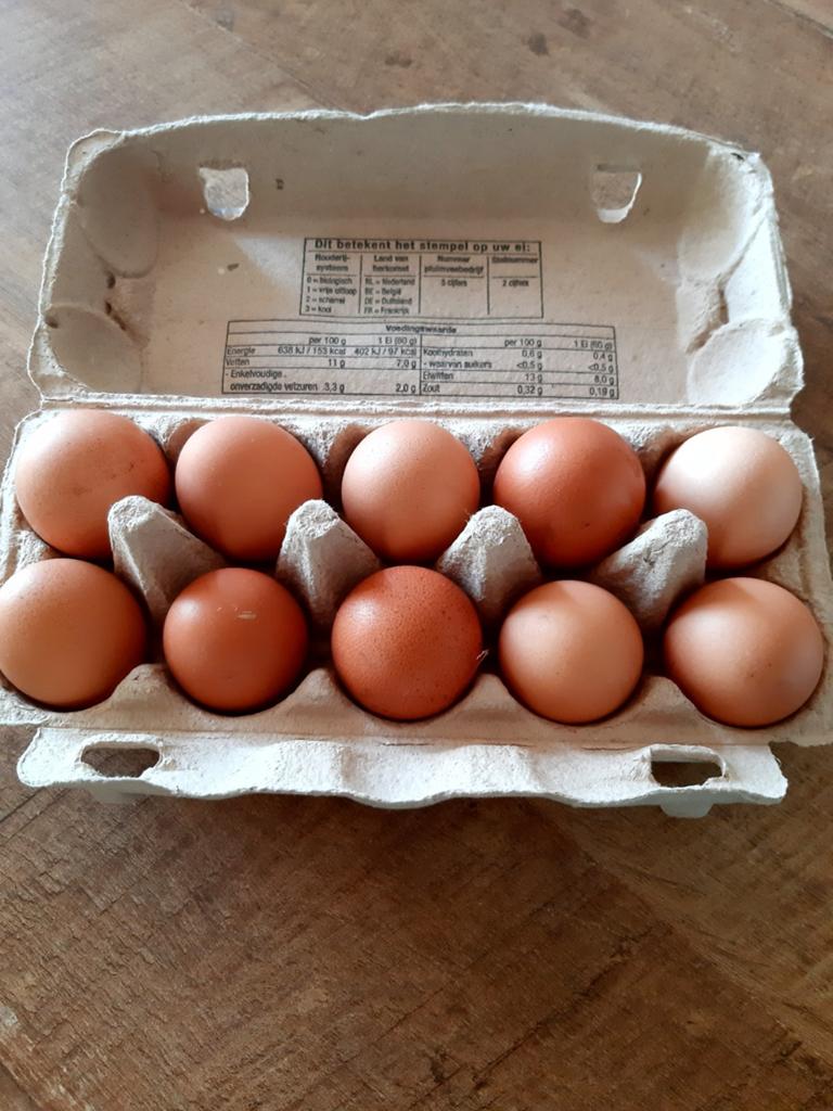 Verse scharreleieren, Dieren en Toebehoren, Pluimvee, Vrouwelijk, Kip