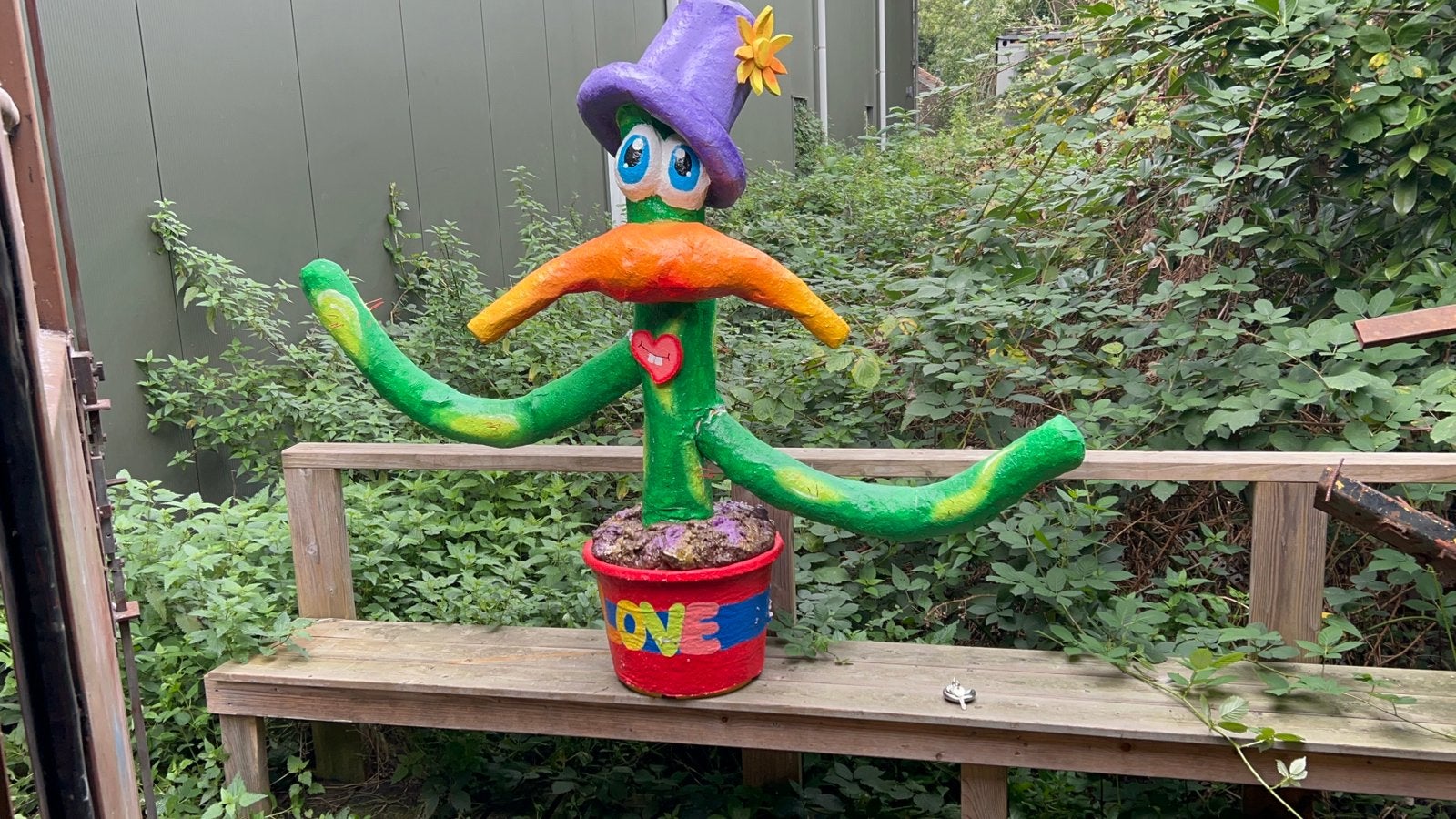 Cactus plant - flower power / decoratie carnaval loopgroep, Kleding | Dames, Ophalen, Gedragen, Carnaval, Accessoires