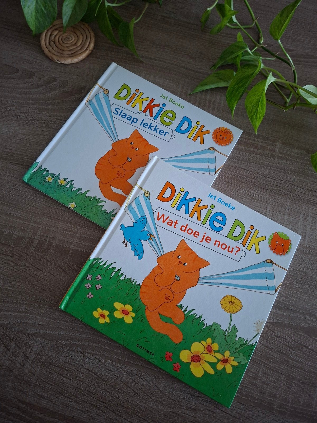 Dikkie Dik boekjes - Leuk voorlezen of zelf lezen, Boeken, Ophalen of Verzenden, Zo goed als nieuw, Fictie algemeen