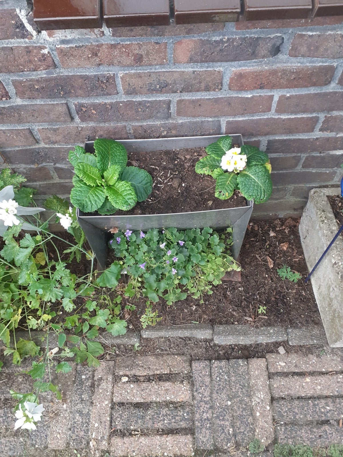 bloemenbak, Tuin en Terras, Ophalen, Minder dan 30 cm
