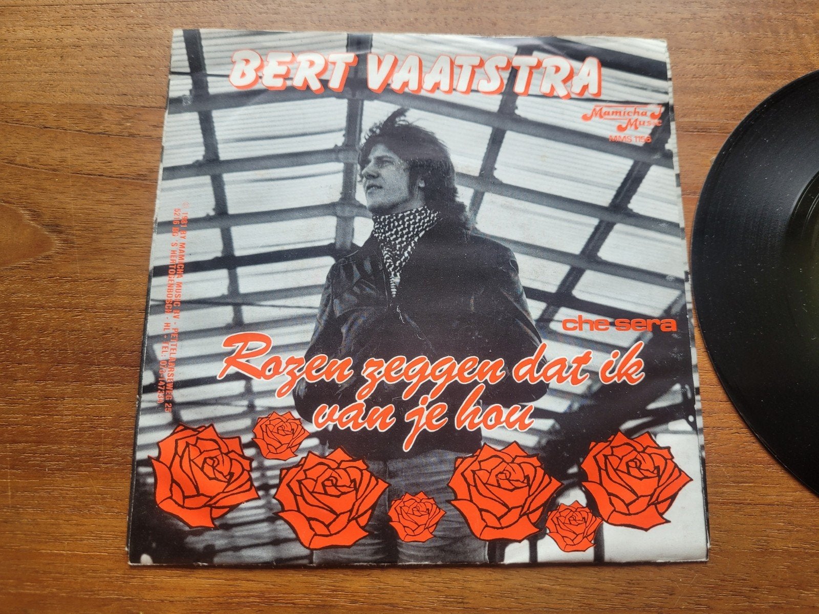 Bert Vaatstra - Rozen zeggen dat ik van je hou (single), Gebruikt, 7 inch, Ophalen of Verzenden, EP