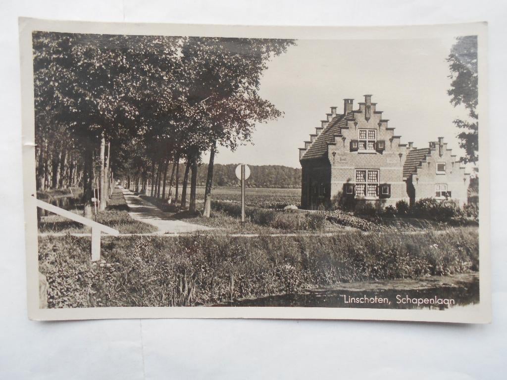 Linschoten de Schapenlaan mooie trapgevel oud Linschoten, Ophalen of Verzenden, 1940 tot 1960, Gelopen, Utrecht