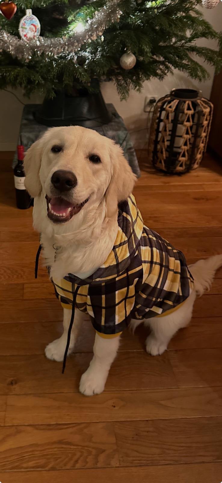 Honden Hoody, Dieren en Toebehoren, Ophalen of Verzenden