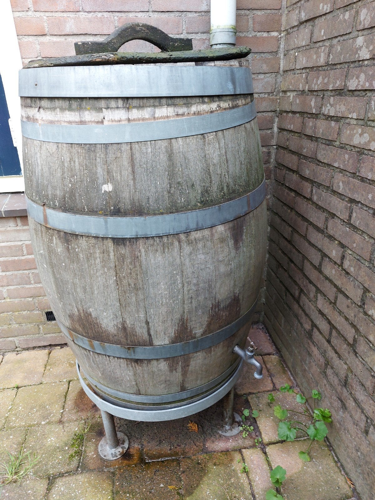 Grote houten regenton met kraan en regenpijpaansluiting, Ophalen, Gebruikt, Met kraantje, 150 liter of meer
