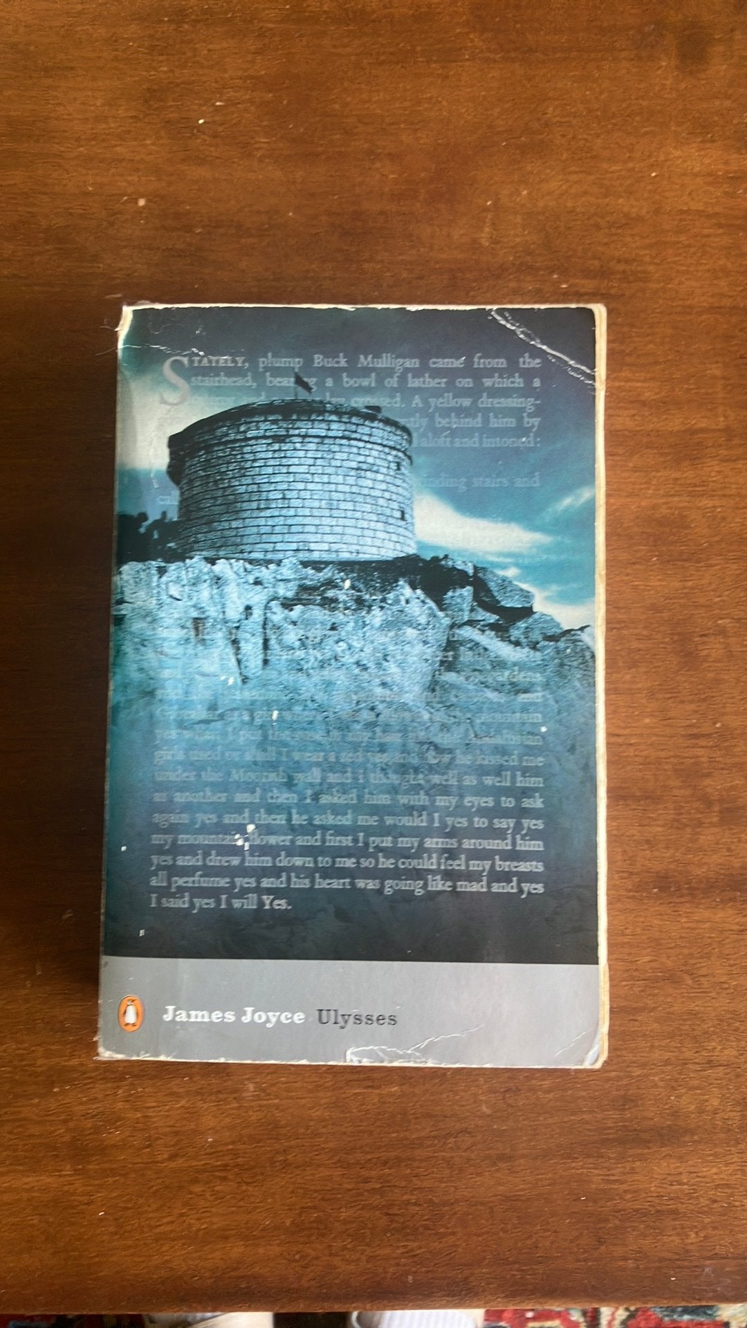 JAMES JOYCE - ULYSSES, Boeken, Ophalen of Verzenden, Gelezen, JAMES JOYCE