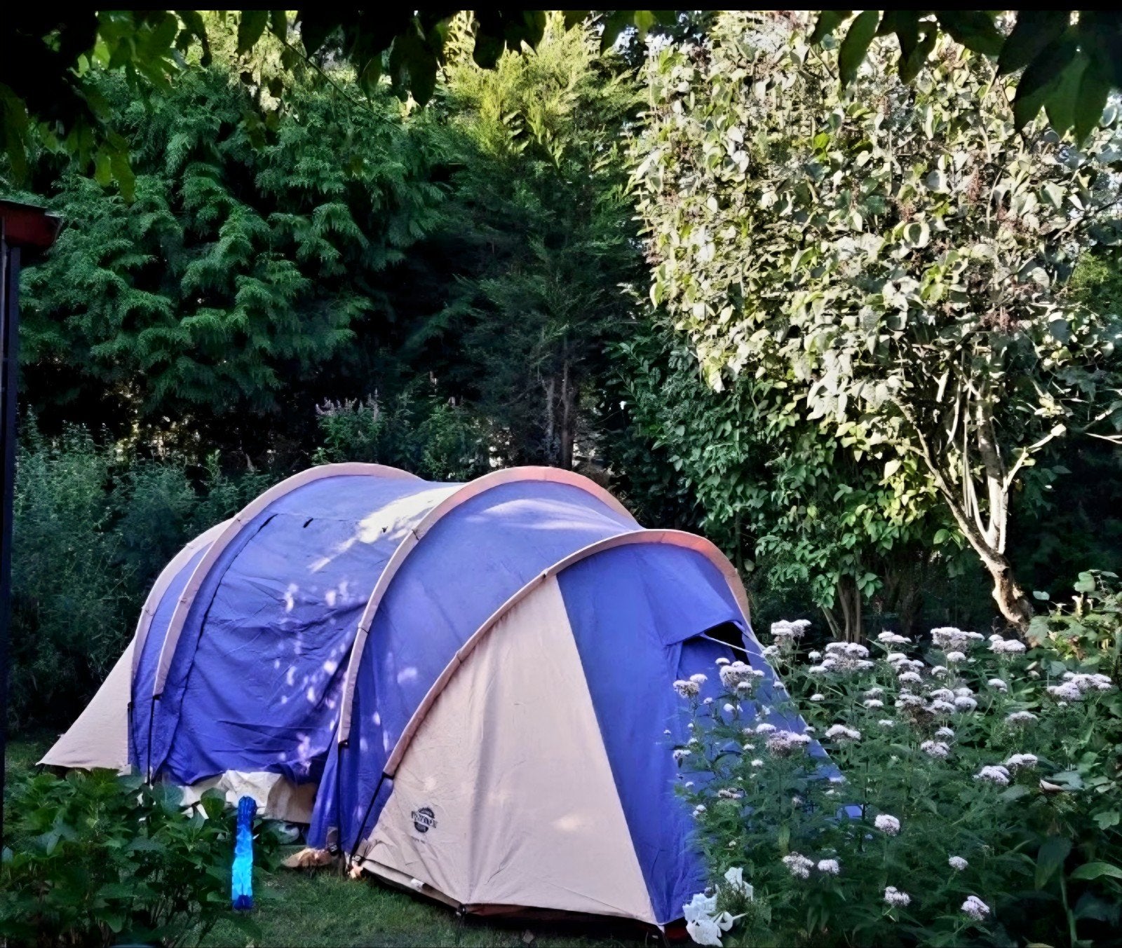 wilderness quality 4 persoons katoenen tent, Caravans en Kamperen, Ophalen, Tot en met 4