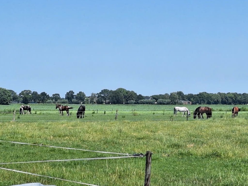 Pensionstalling - stalling paard - aangeboden De Moer, Dieren en Toebehoren, Stalling en Weidegang, Stalling, 2 of 3 paarden of pony's