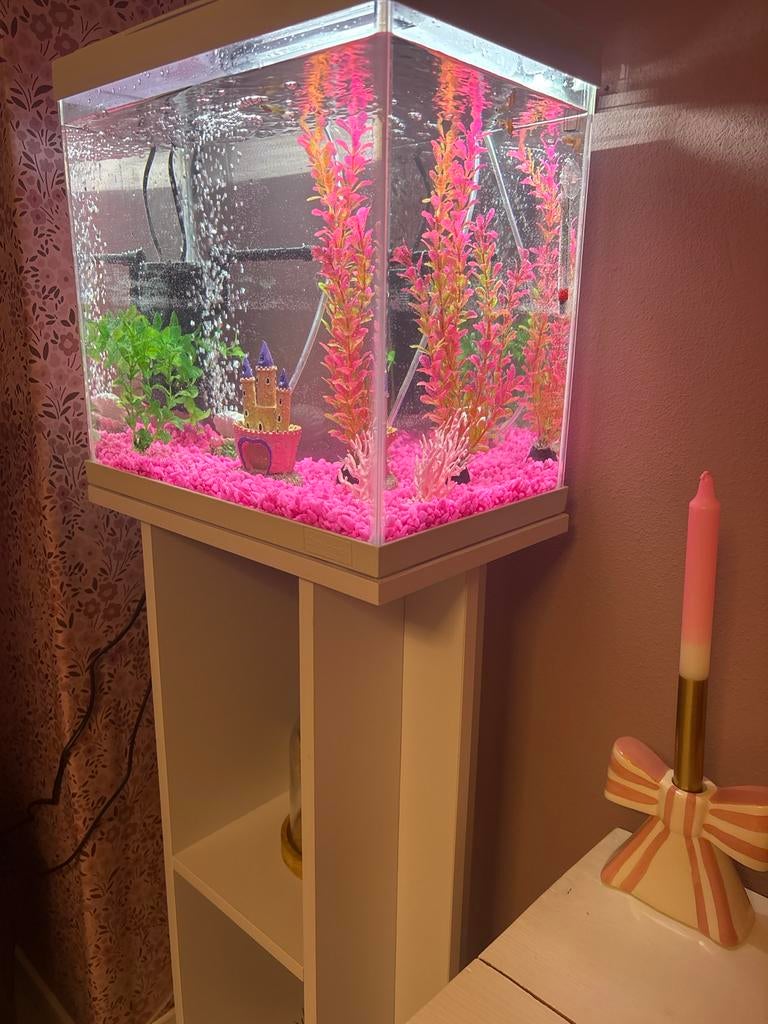 Aquarium, Ophalen, Zo goed als nieuw, Leeg aquarium