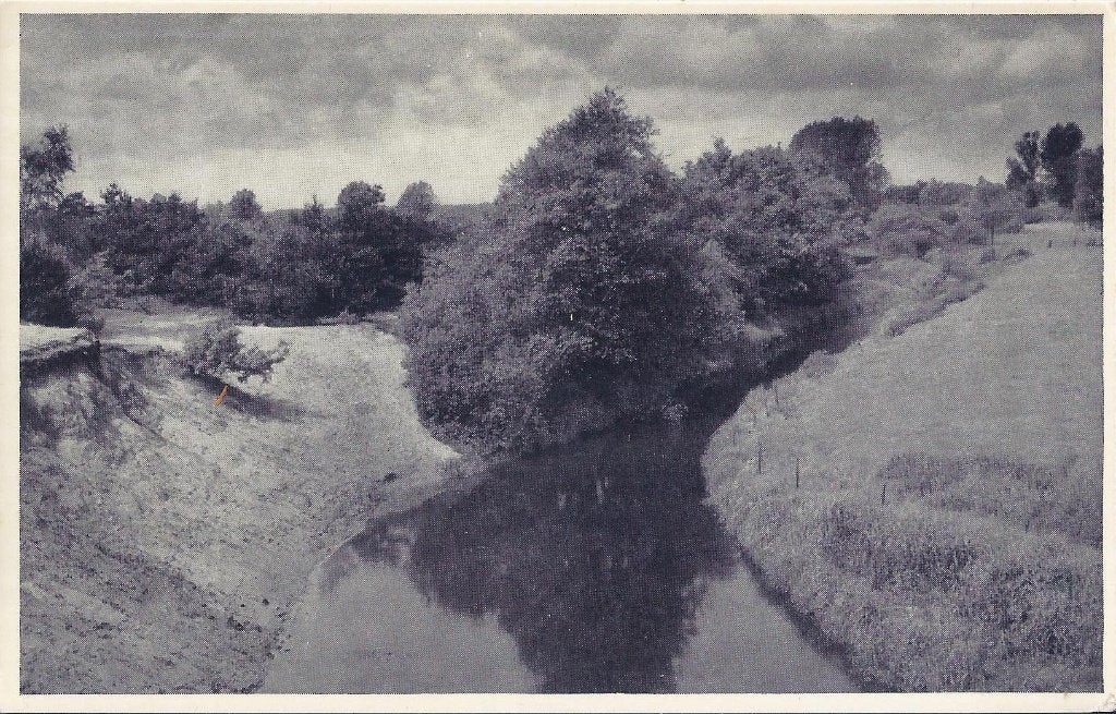 Twente n grunnen stert oude ongelopen ansichtkaart ( 833, Ophalen of Verzenden, 1940 tot 1960, Ongelopen, Overijssel