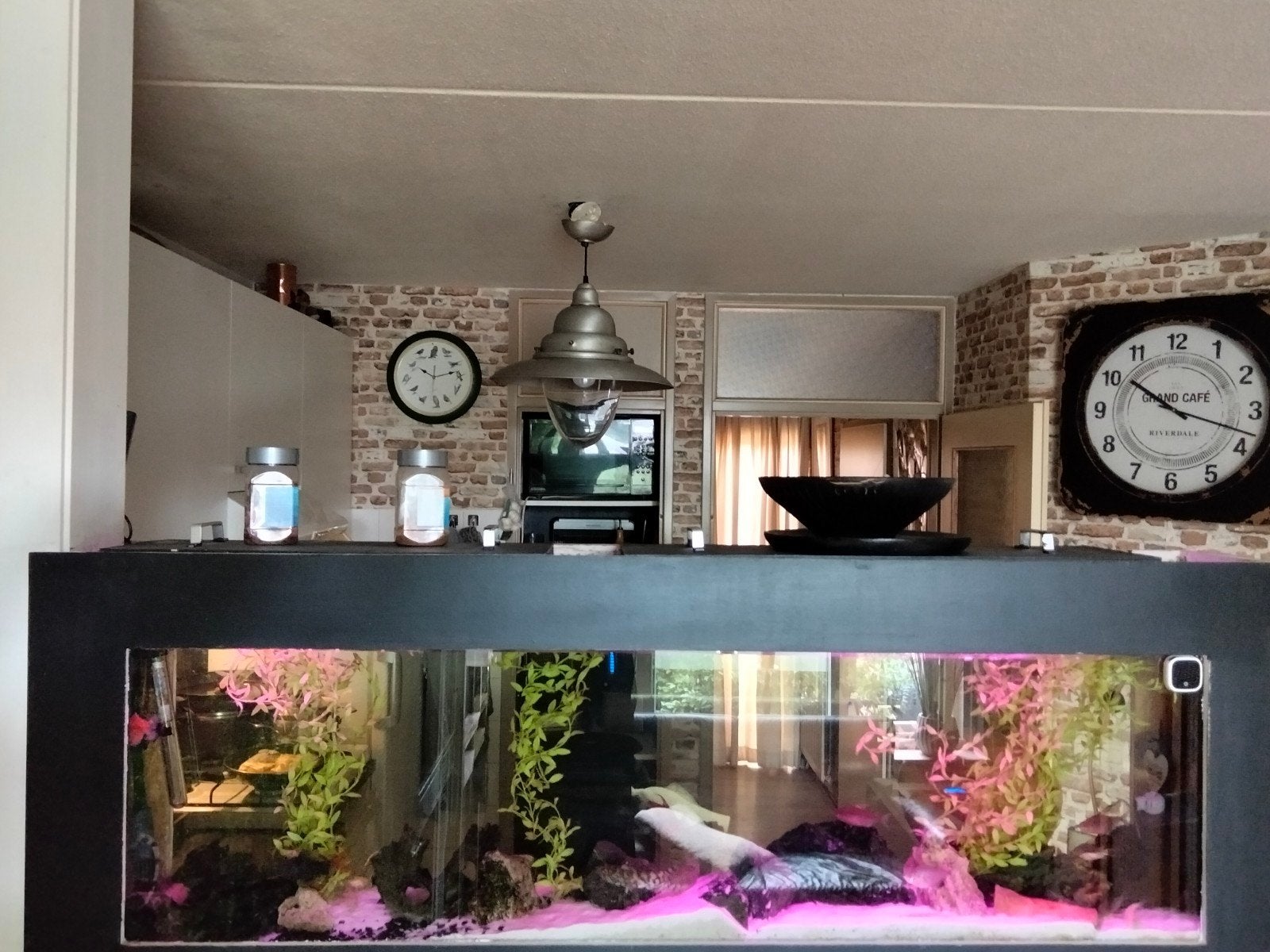Aquarium voor wand of bar alles erop en eraan pomp filters, Ophalen, Zo goed als nieuw, Leeg aquarium