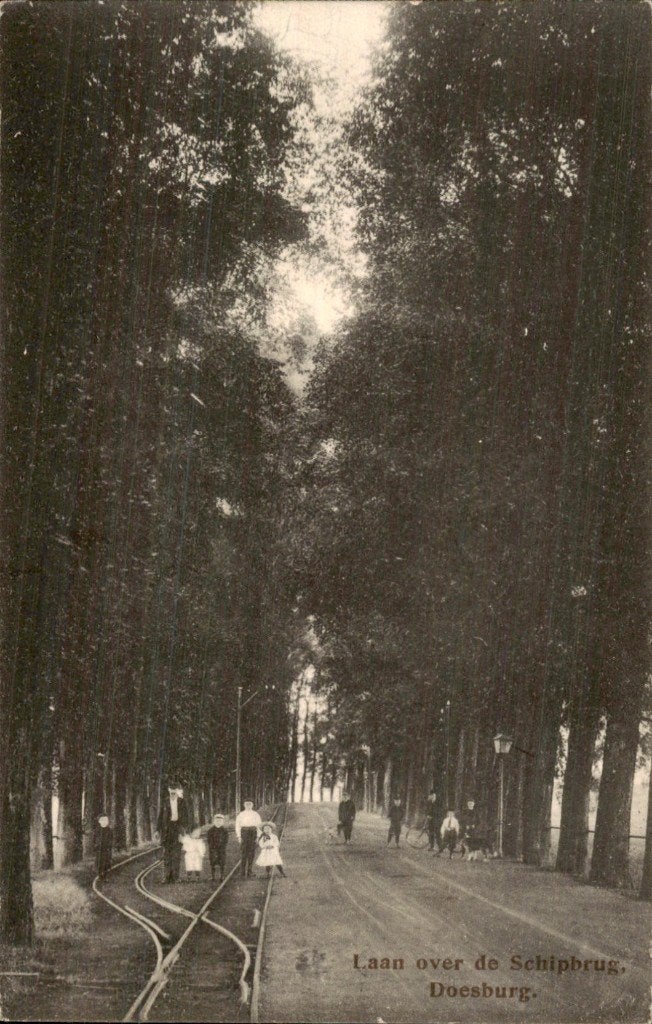 Doesburg - Laan - over de Schipbrug, Ophalen of Verzenden, Voor 1920, Gelopen, Gelderland