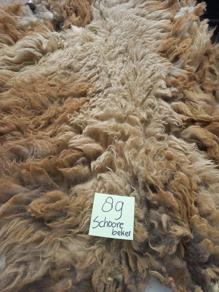 nr 89 Geschoren vacht van een Schoonebeker heideschaap, Ophalen of Verzenden, Nieuw