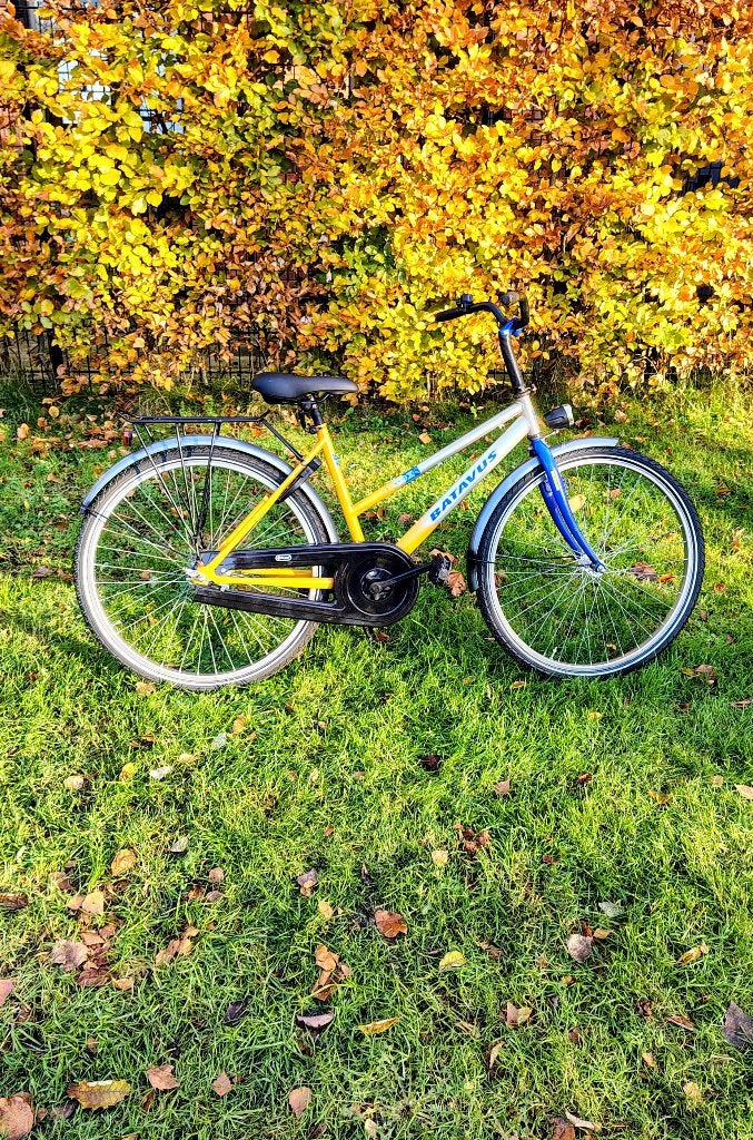 Te koop :, Fietsen en Brommers, Ophalen, Terugtraprem, Batavus, Zo goed als nieuw