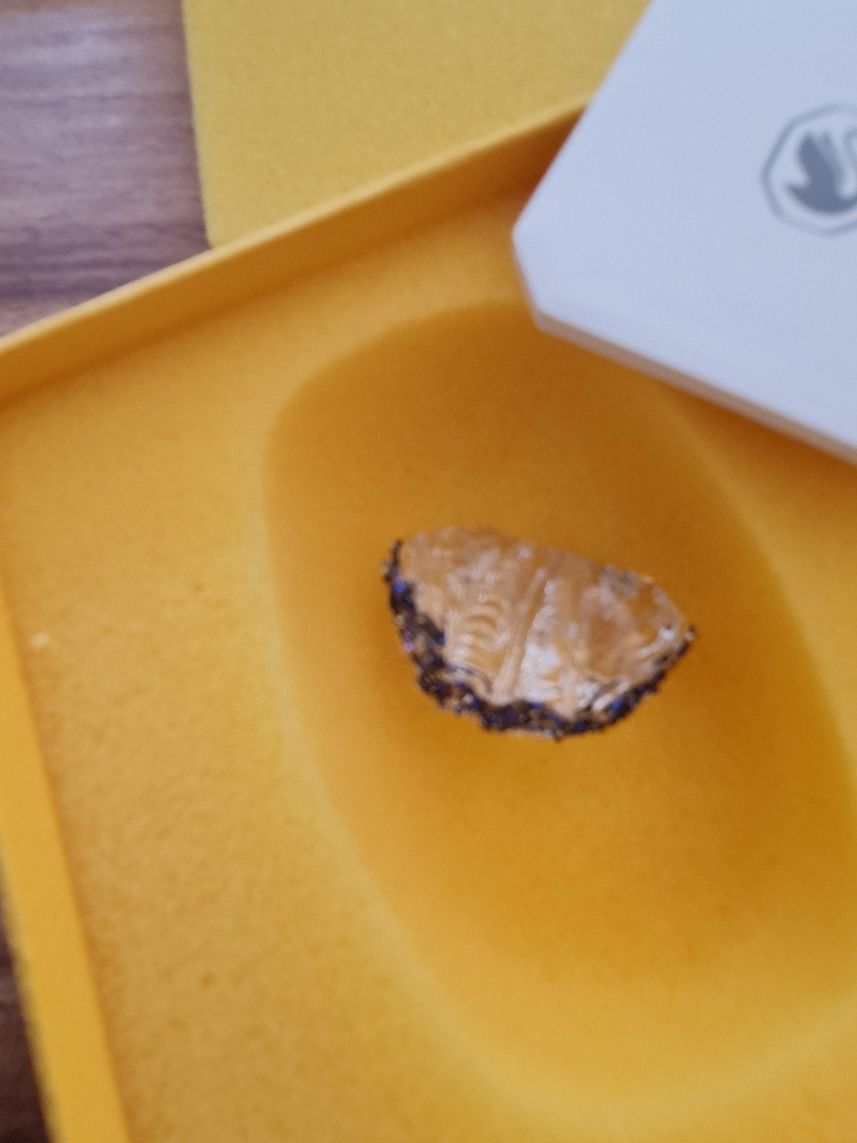 SCS gift loyality 2025 shell, Verzamelen, Ophalen of Verzenden, Figuurtje