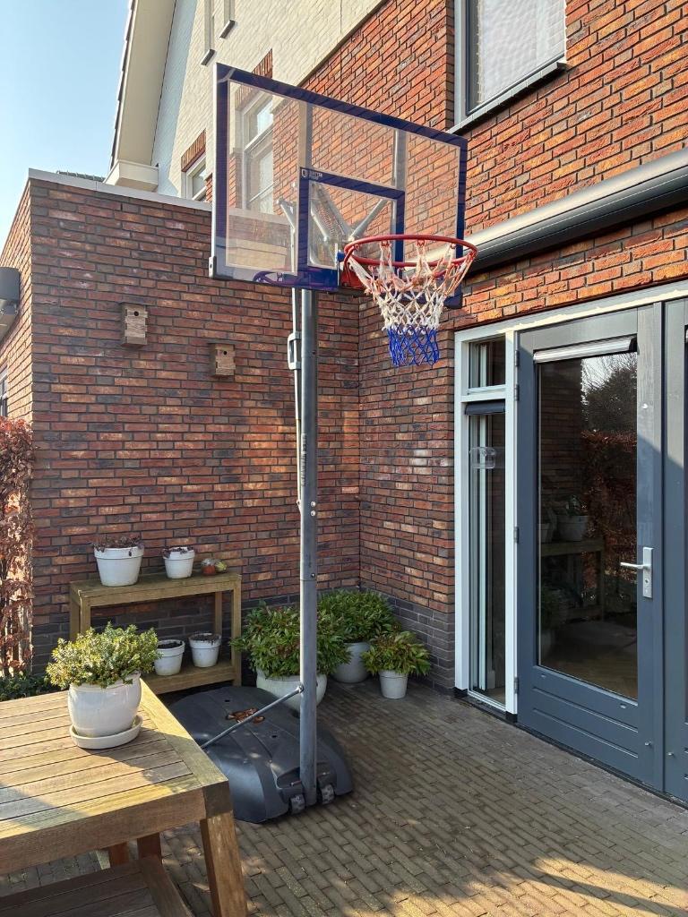 LifeTime Basketbalstandaard, Sport en Fitness, Basketbal, Ophalen, Gebruikt, Ring, Bord of Paal