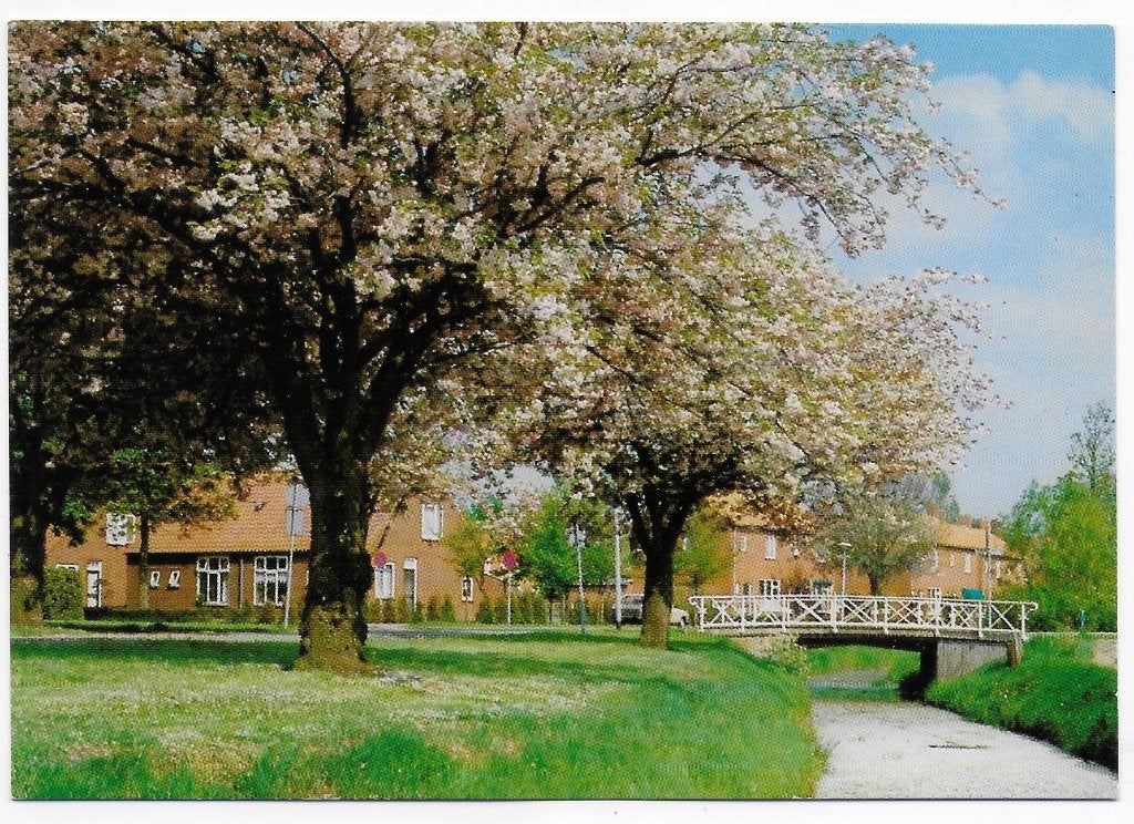 Vlagtwedde Het Veelerdiep Ongelopen Ansichtkaart ( B4683, Ophalen of Verzenden, 1980 tot heden, Ongelopen