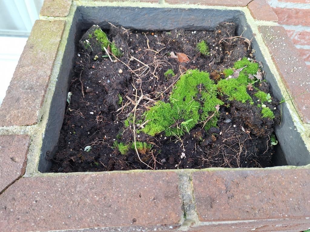 Plante bak, Tuin en Terras, Bloembakken en Plantenbakken, Ophalen, Rond