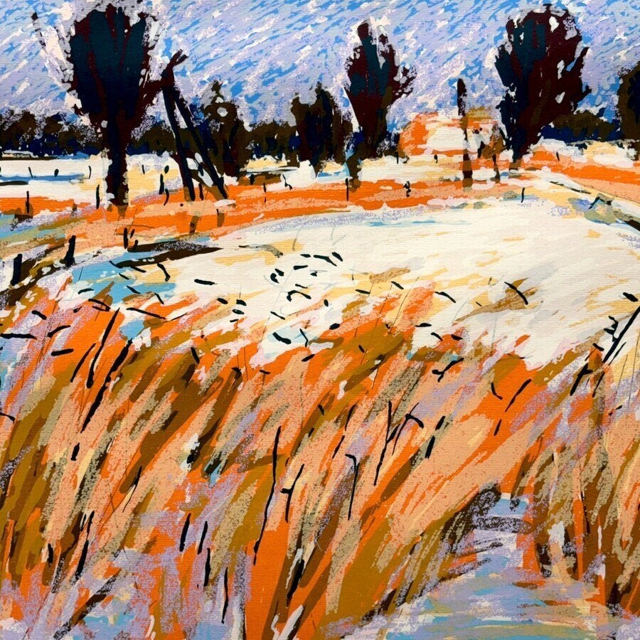 Wim van der Veer (1939) - zeefdruk, landschap, Ophalen of Verzenden