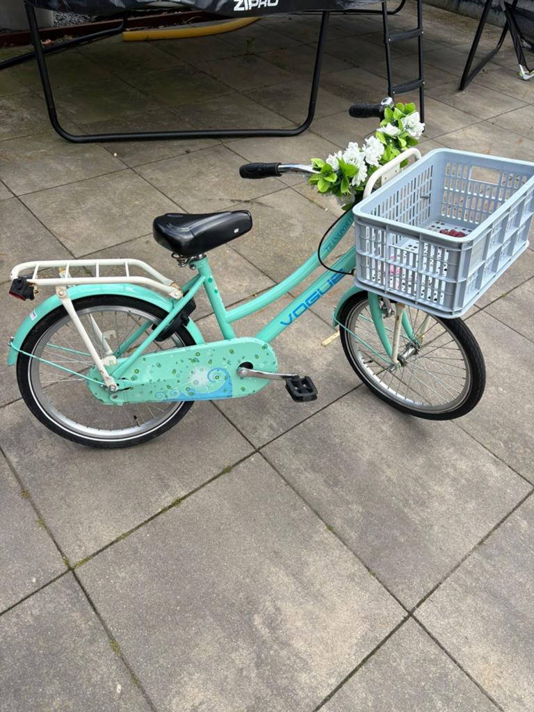Meisjes fiets 20 inch, Ophalen, Gebruikt, 20 inch