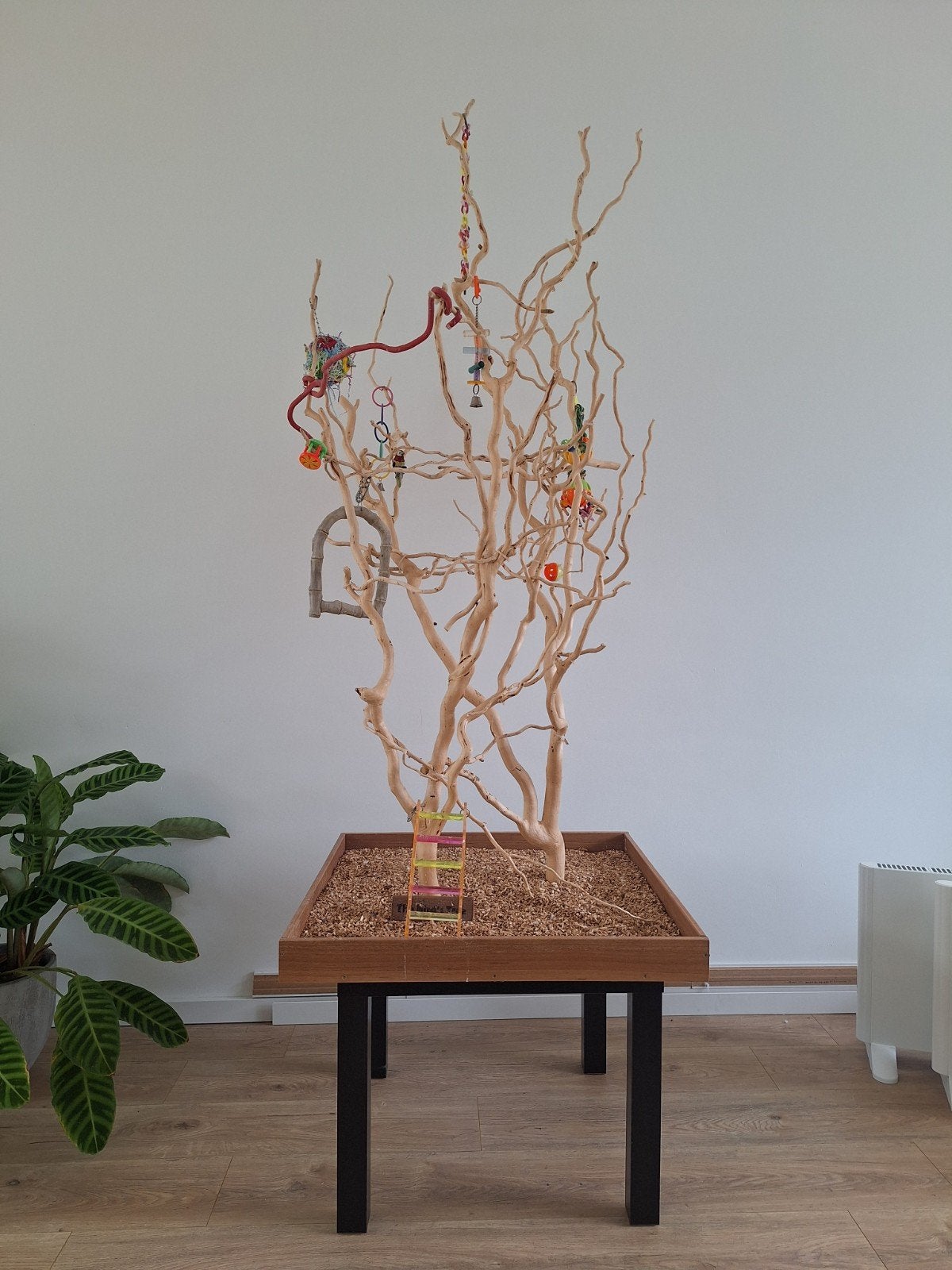 vogelspeelboom, Dieren en Toebehoren, Vogels | Toebehoren, Ophalen of Verzenden, Kooi-accessoires
