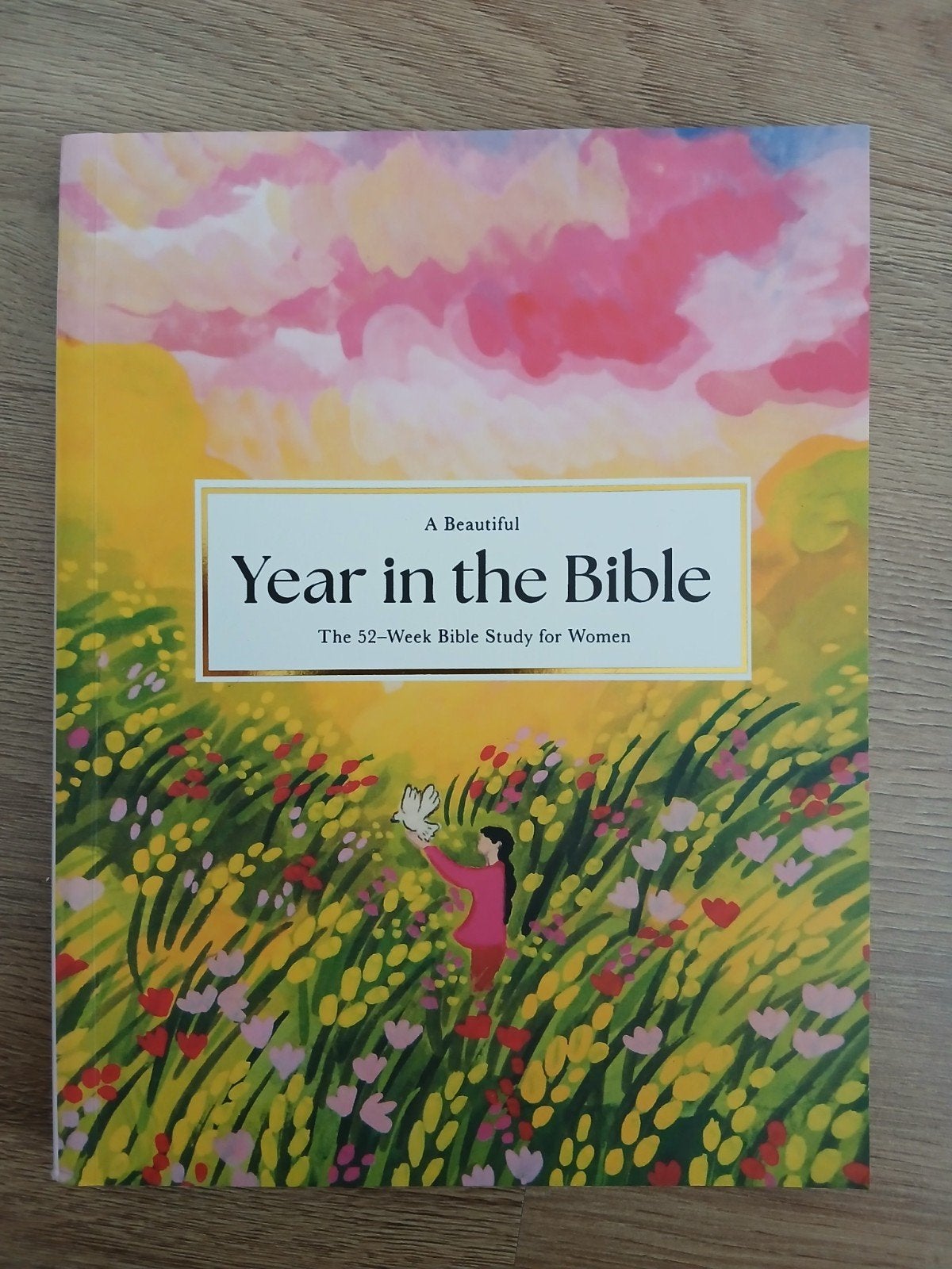 A Beautiful Year in the Bible - Bijbelstudie voor vrouwen, Boeken, Ophalen of Verzenden, Zo goed als nieuw, Onbekend, Christendom | Katholiek