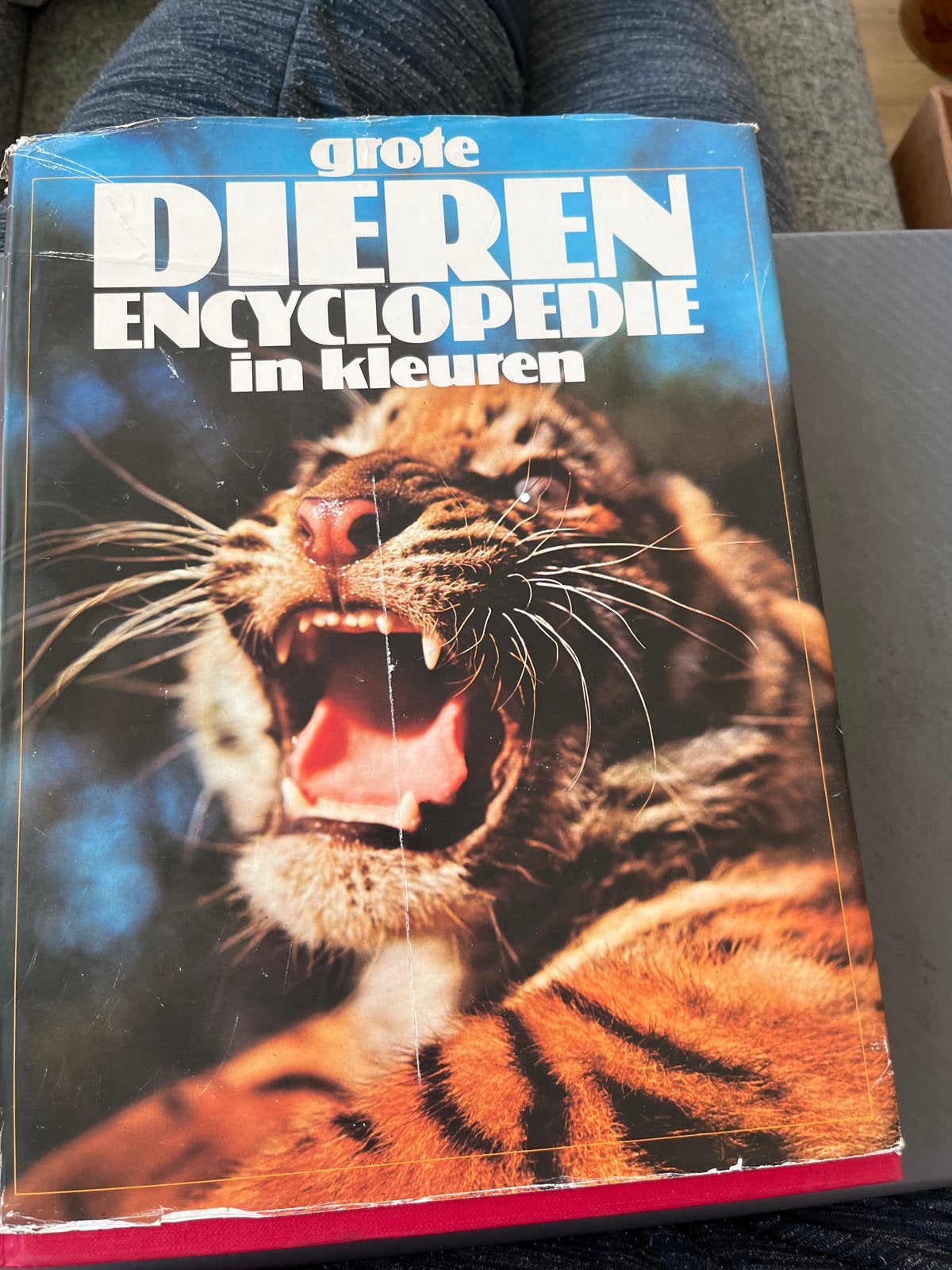 Grote Dierenencyclopedie in Kleuren - Maurice Burton, Boeken, Ophalen of Verzenden, Gelezen, Dieren, Los deel