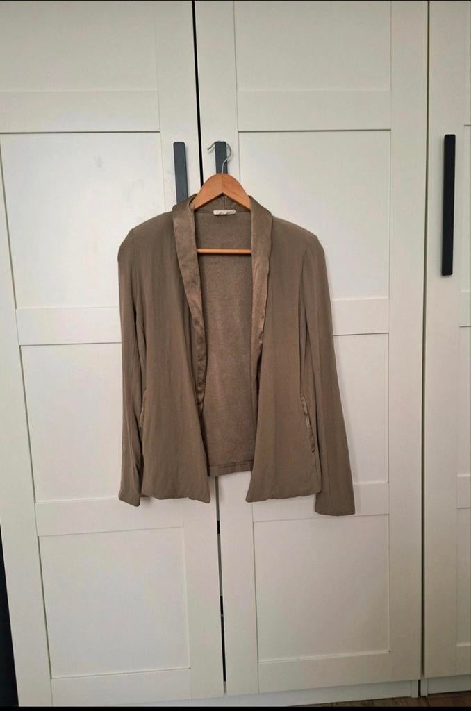 American Vintage blazer vestje L, Bruin, Maat 42/44 (L), Ophalen of Verzenden, Zo goed als nieuw