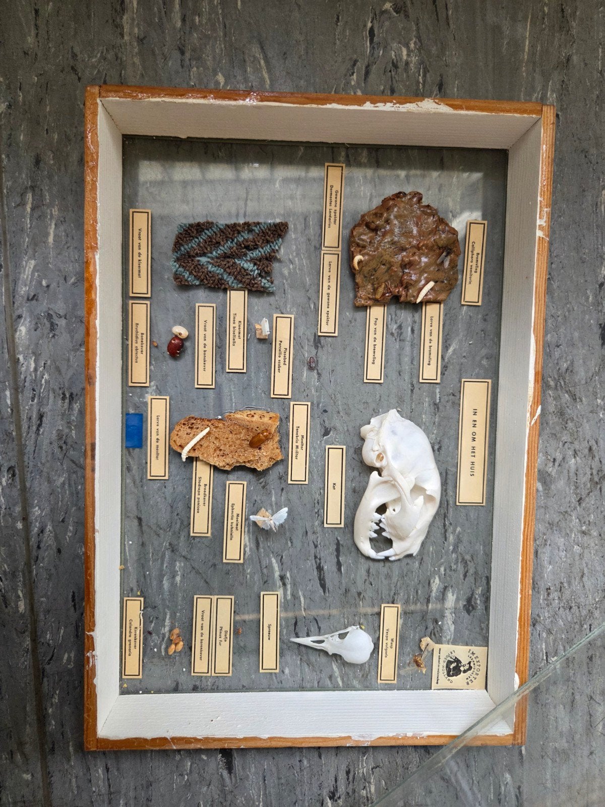 Educatieve vitrine " dieren in en om het huis", Ophalen, Gebruikt
