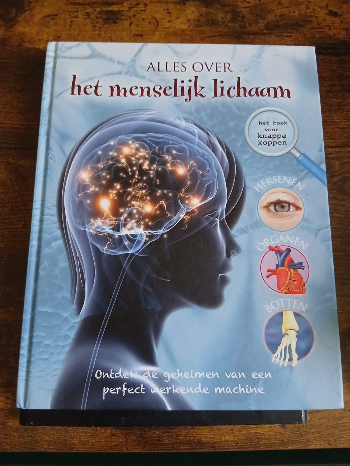 Alles over het menselijk lichaam - Boek voor kinderen, Boeken, Kinderboeken | Jeugd | onder 10 jaar, Onbekend, Non-fictie, Ophalen of Verzenden