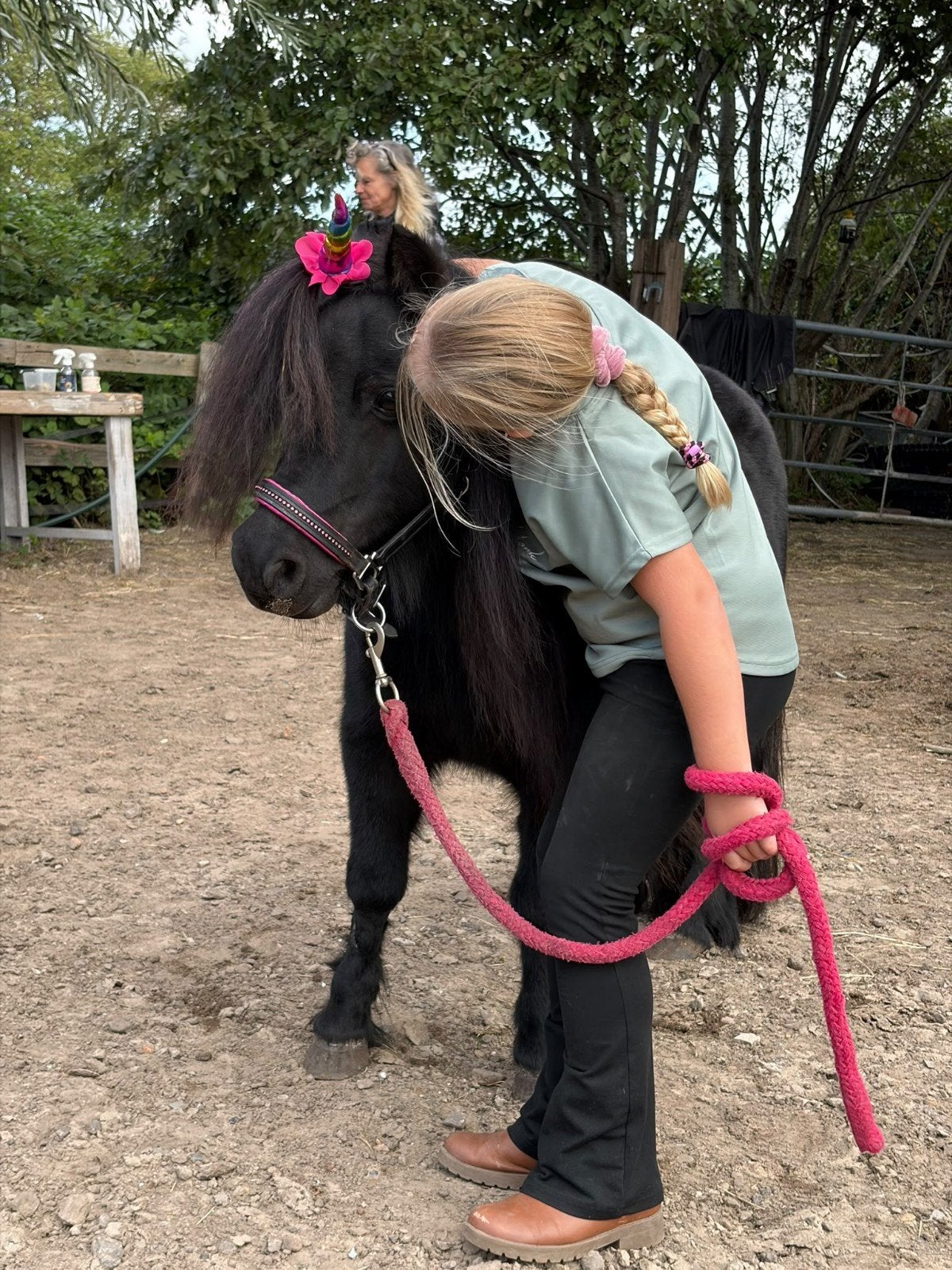 opzoek naar een bijrijd/verzorg pony, Dieren en Toebehoren, Ophalen of Verzenden