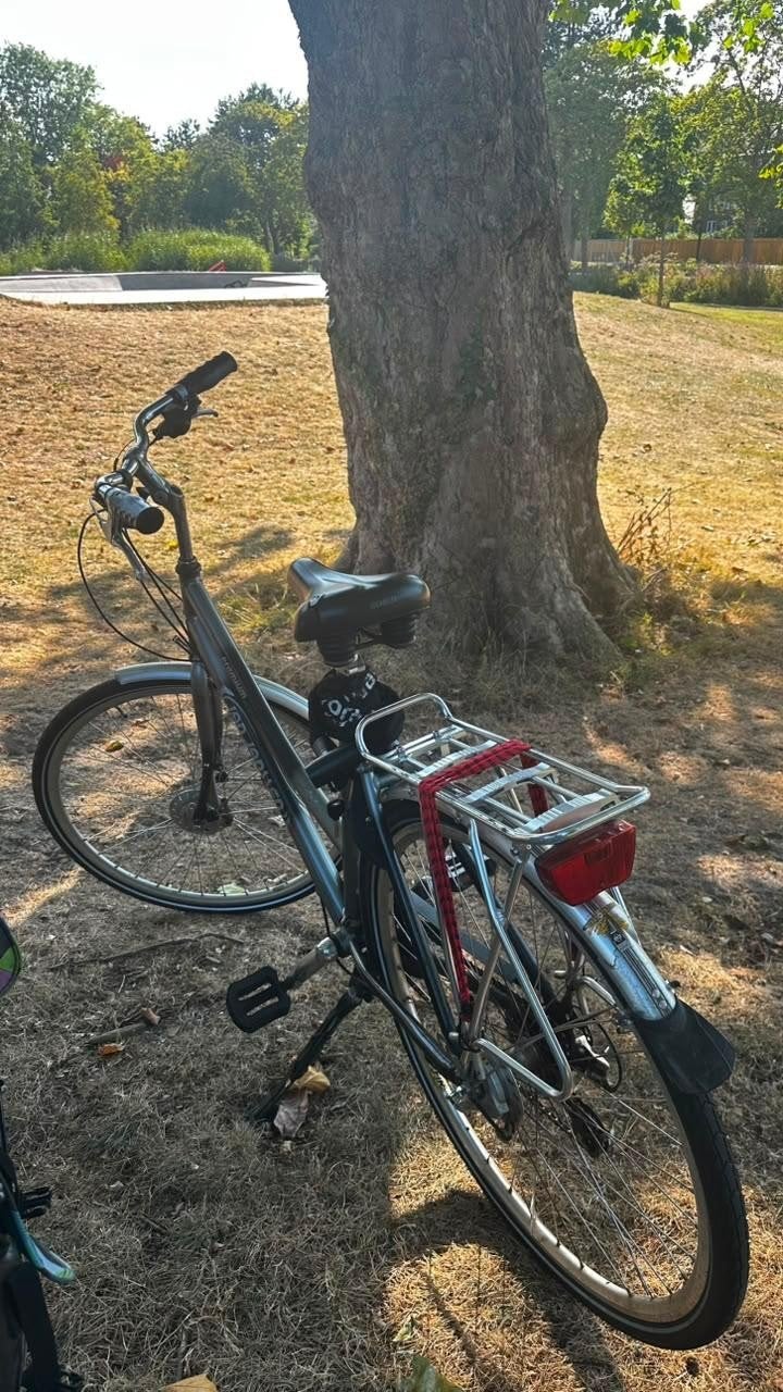 Jan Janssen Premium fiets - 3x8 versnellingen, Gebruikt, Velgrem, Versnellingen, Ophalen