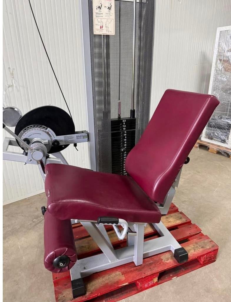 Technogym Rehabilitation Leg extension / Beinstrecker, Ophalen, Benen, Gebruikt, -