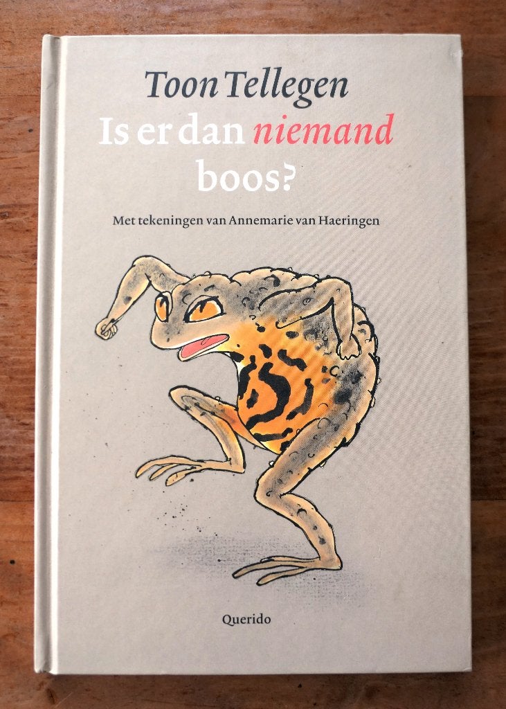 Is er dan niemand boos? Toon Tellegen Annemarie v. Haeringen, Boeken, Fictie algemeen, Ophalen of Verzenden, Zo goed als nieuw