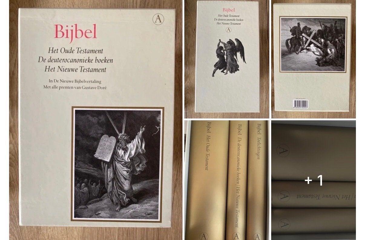Gouden Reeks Bijbel - Oude en Nieuwe Testament (Gustave Doré, Boeken, Verzenden, Zo goed als nieuw, Christendom | Katholiek