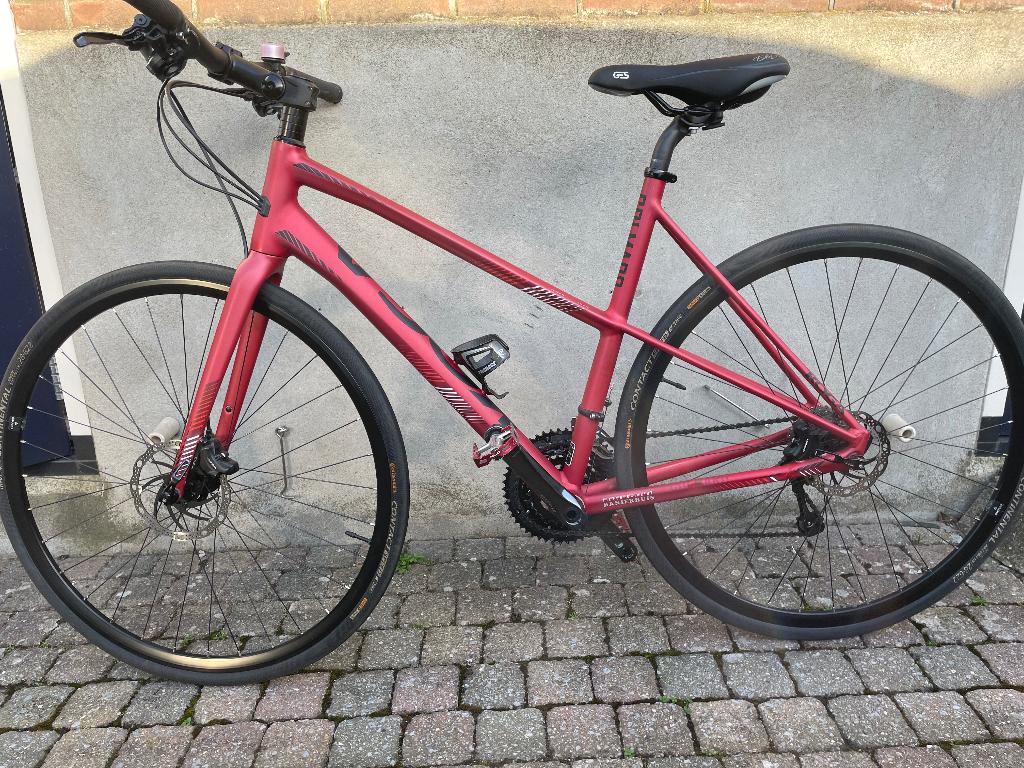 Fitbike Koga Colmaro, Ophalen, Zo goed als nieuw, Koga Miyata, 50 tot 53 cm