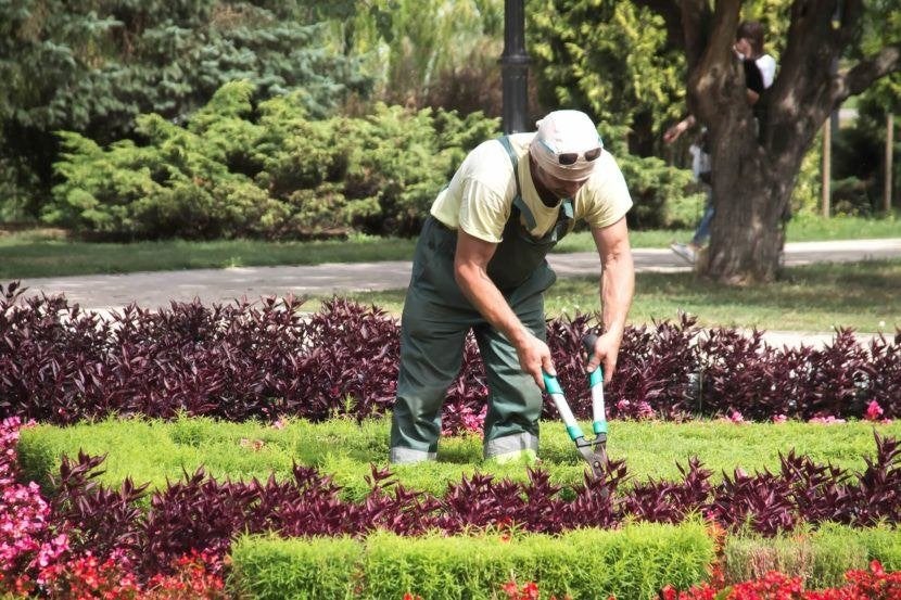 Tuinman agb. regio Voorne, S- Duiveland, Goeree 17,50 p/u, Diensten en Vakmensen, Garantie, Tuin- of Vijveraanleg