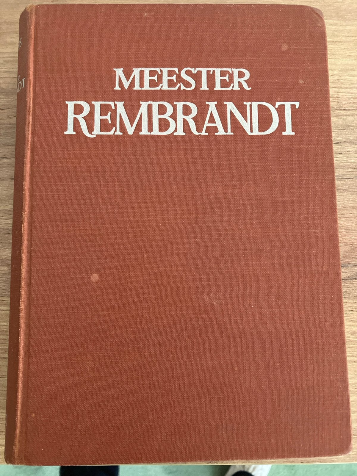 Meester Rembrandt - Roman door Jan Mens (1948), Ophalen of Verzenden, Gelezen, Nederland
