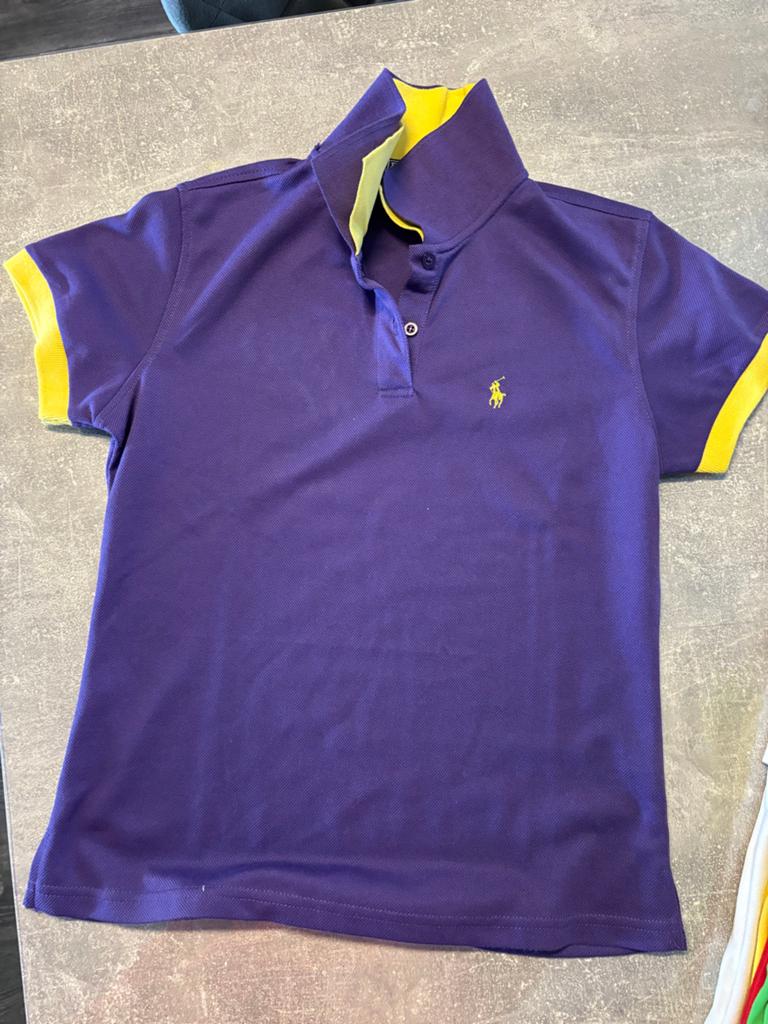 Polo Ralph Lauren Poloshirt Paars/Geel Maat L, Kleding | Heren, Polo's, Ophalen of Verzenden, Zo goed als nieuw, Maat 52/54 (L)