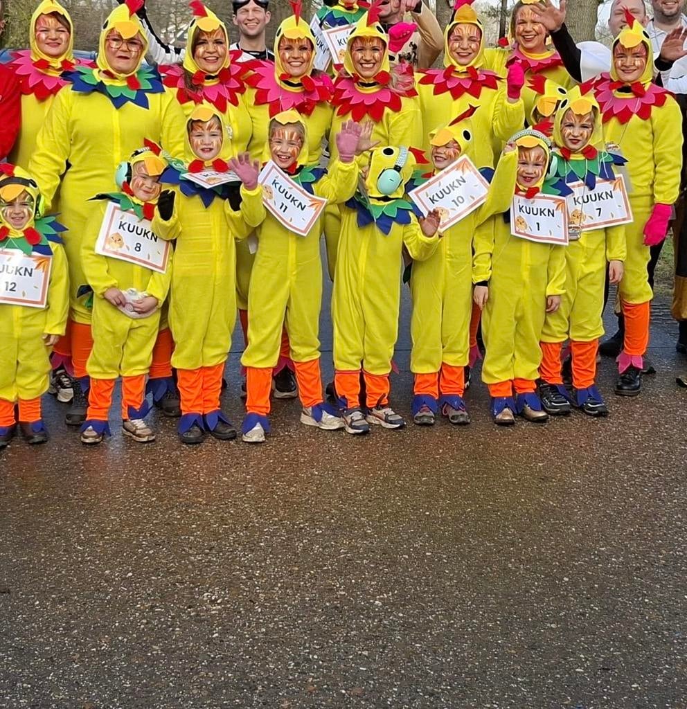 Carnavalspakken kip- diverse maten, Carnaval, Maat 42/44 (L), Ophalen of Verzenden, Zo goed als nieuw