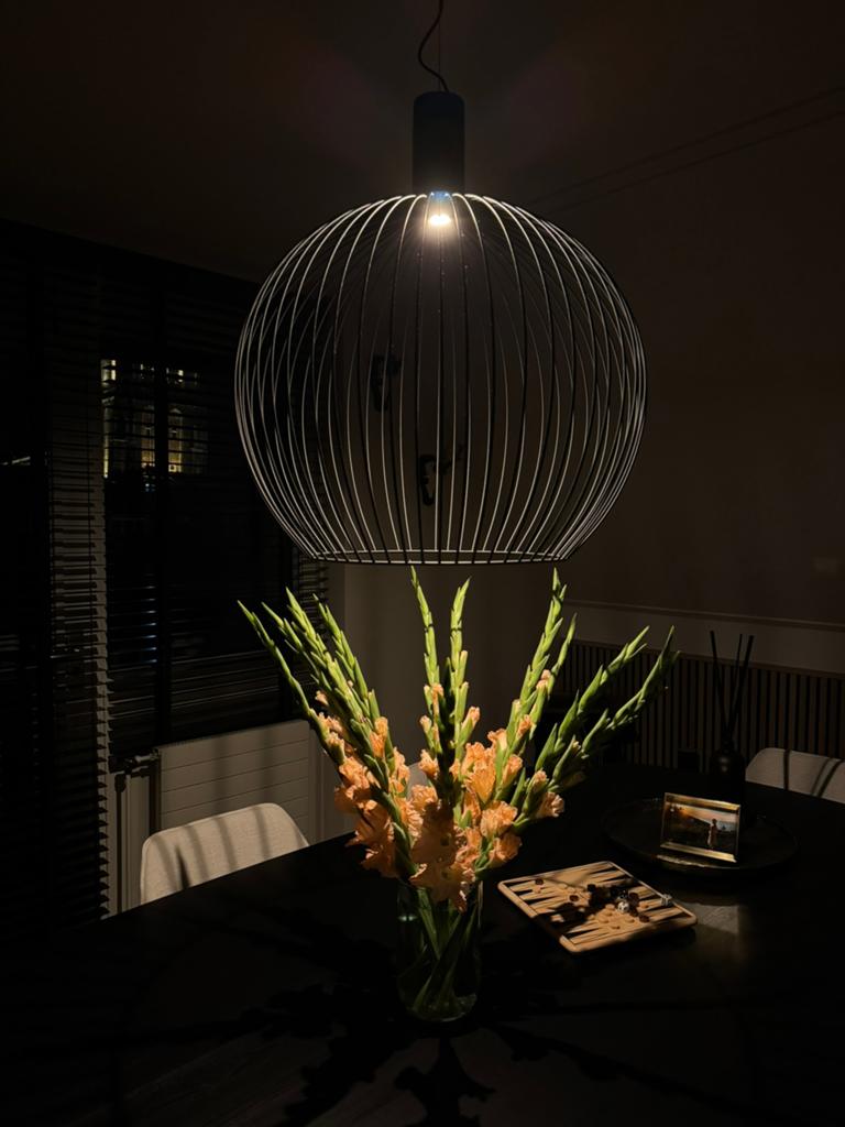 ETH Hanglamp Wire | Ø50 CM, Ophalen, Nieuw, Metaal, Minder dan 50 cm