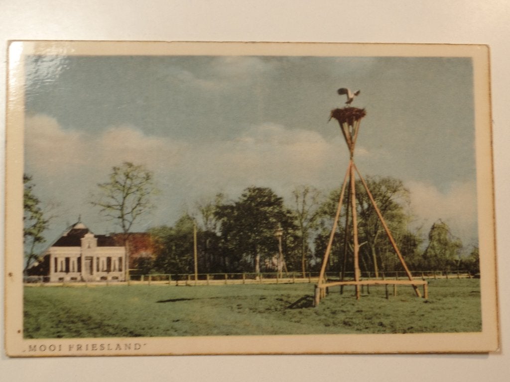 Mooi Friesland ooievaar op het nest  buitenpost, Ophalen of Verzenden, Ongelopen, Friesland