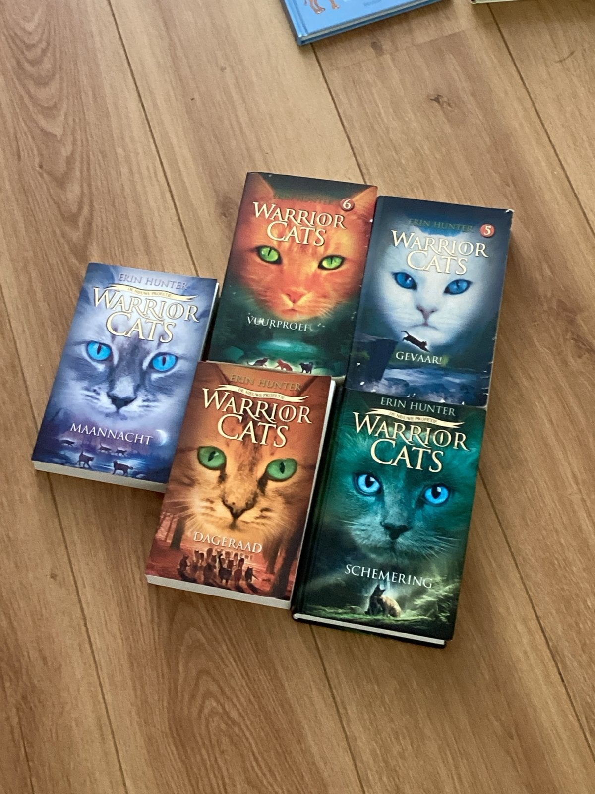Warrior Cats Boekenreeks - Erin Hunter (5 boeken), Boeken, Ophalen of Verzenden, Gelezen, Fictie algemeen