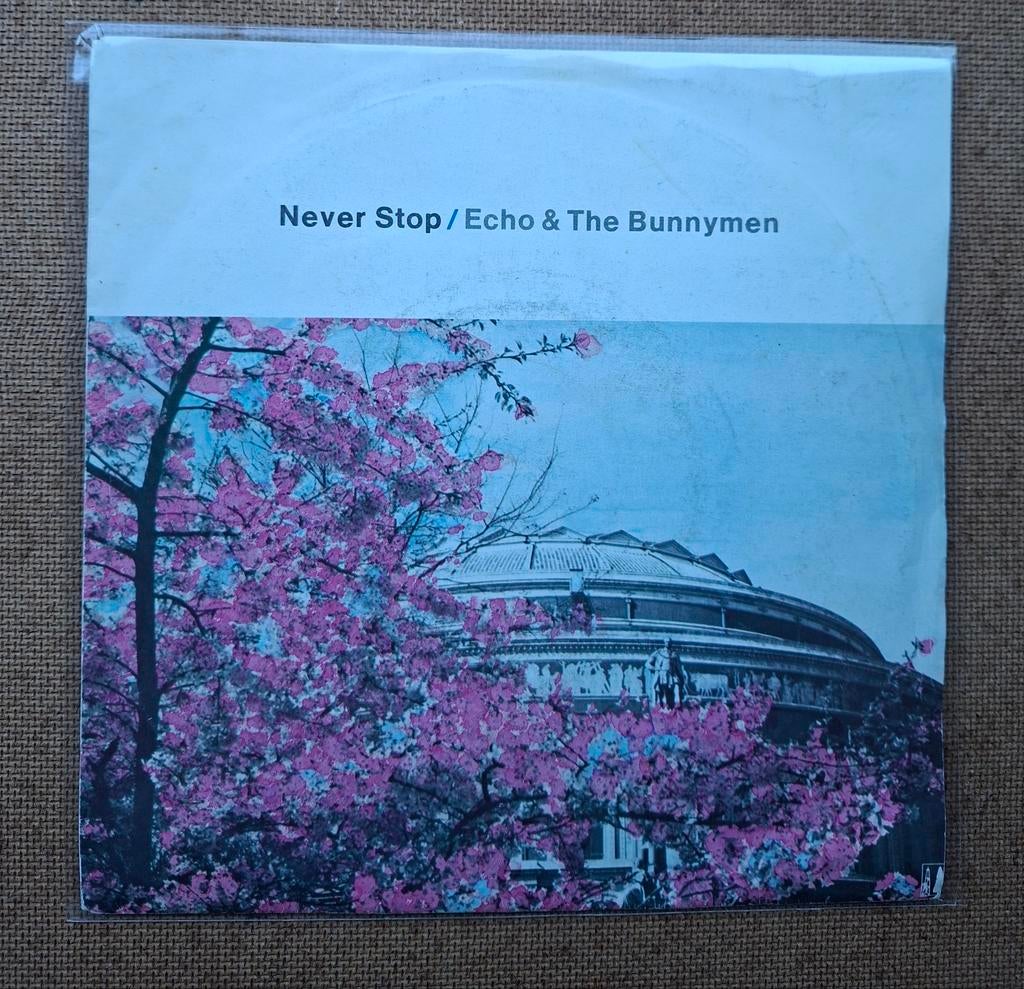 Echo and the Bunnymen  - Never stop  - Single is TOP, Ophalen of Verzenden, Gebruikt, Pop