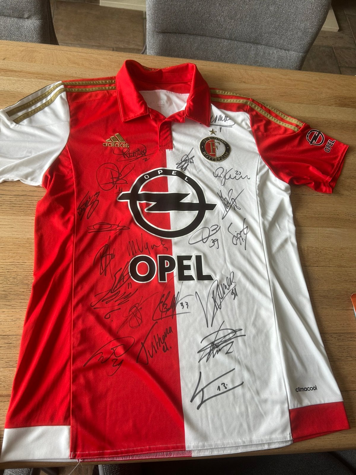 Feyenoord shirt met handtekeningen 2015/2016 Dirk Kuyt etc., Ophalen of Verzenden, Zo goed als nieuw, Shirt