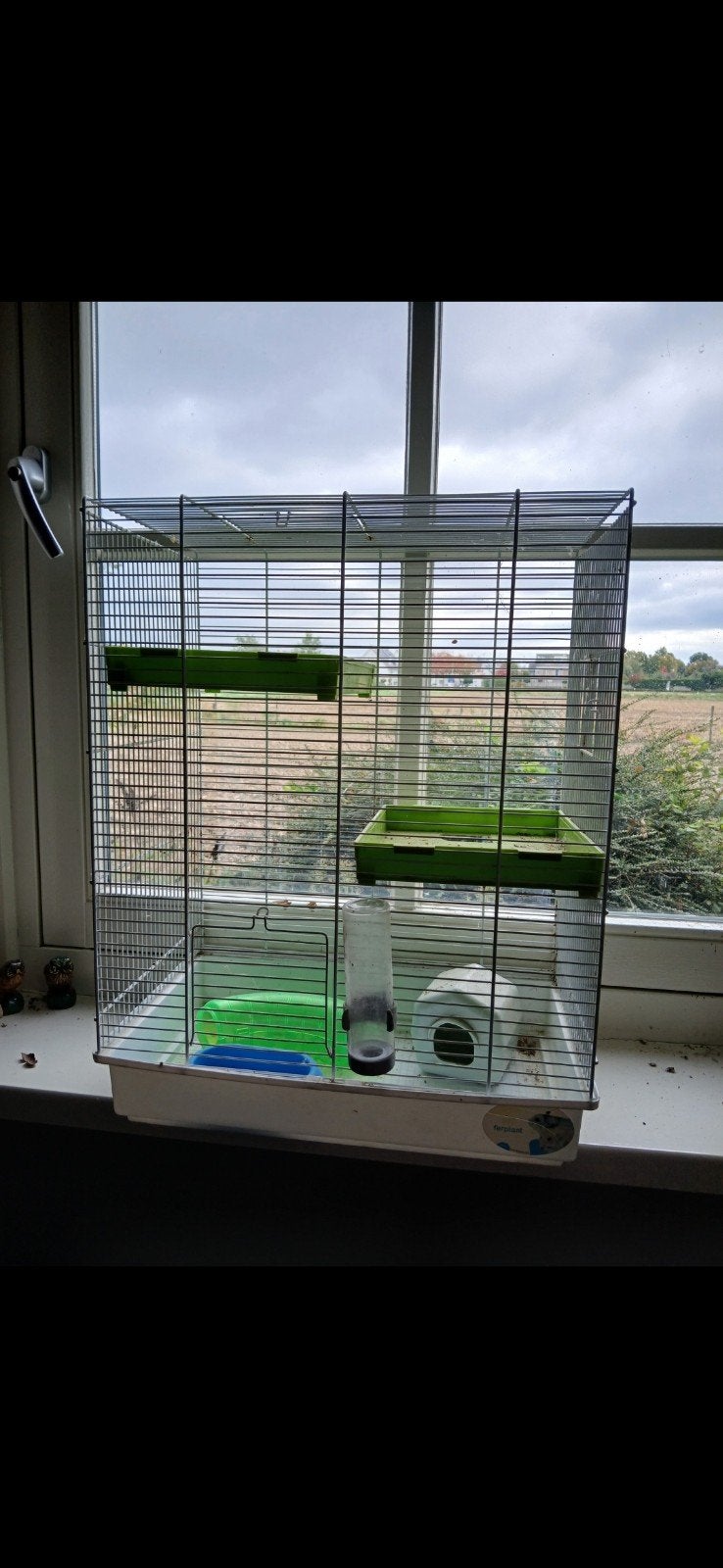 Ratten/muizen kooi, Ophalen, Minder dan 75 cm, Kooi, Minder dan 60 cm